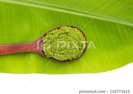 Wolffia globosa or swamp algae, water meal Wolffia globosa or swamp algae, water meal 118771610