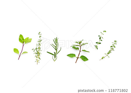 Fresh herbs on white background. Fresh herbs on white background. 118771802