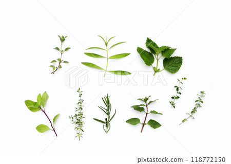 Fresh herbs on white background. Fresh herbs on white background. 118772150