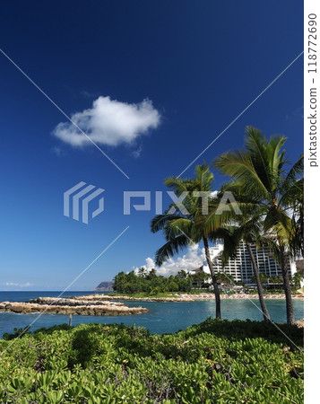 夏威夷 歐胡島 科奧利納 118772690