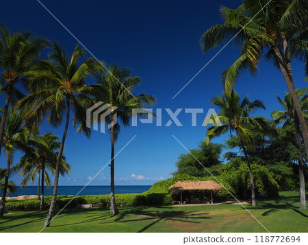 Hawaii, Oahu, Ko Olina Hawaii, Oahu, Ko Olina 118772694