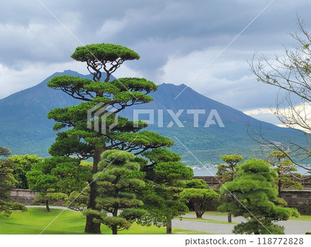 Scenery of Sengan-en and Sakurajima 118772828