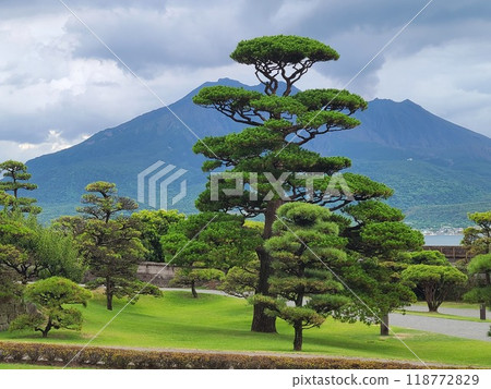 仙護園和櫻島的風景 118772829