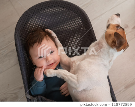 A dog and a cute three-month-old boy dressed in a blue overalls are sitting together in a baby lounger.  118772899