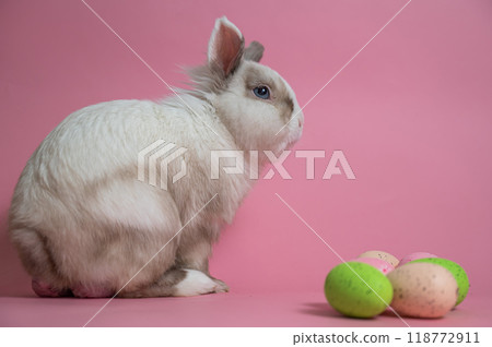 Easter Bunny on a pink background with colorful painted eggs. Easter Bunny on a pink background with colorful painted eggs. 118772911