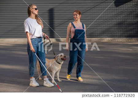 Blind caucasian woman walking with guide dog and pregnant girlfriend.  118772920