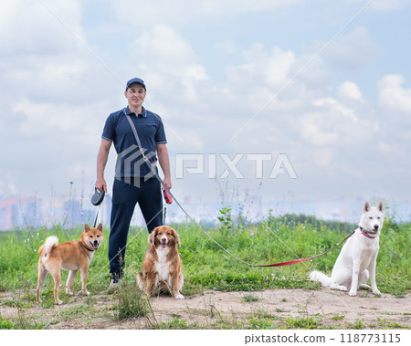 A Caucasian man walks with three dogs. Dog walker. A Caucasian man walks with three dogs. Dog walker. 118773115