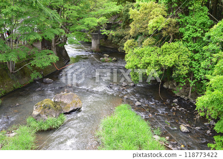 Ryumon Falls 2024-5-12 #3 118773422