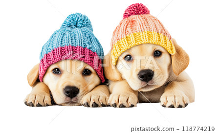 AI-generated item. Cute Labrador Retriever puppies in a knitted hat are isolated on a transparent background. 118774219