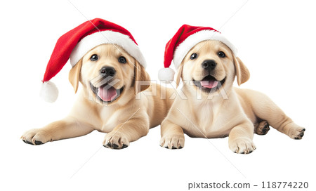 AI-generated item. Cute Labrador Retriever puppies with Santa's hat isolated on a transparent background. 118774220