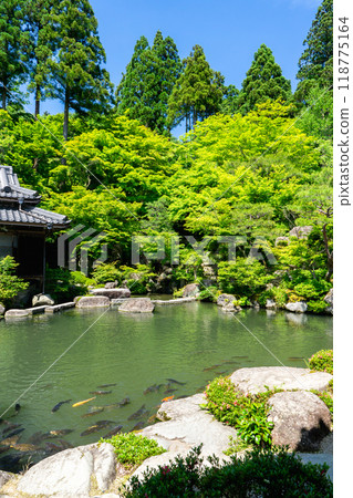 Shiga Prefecture Higashiomi City, Kudaraji Temple (Koto Sanzan) Main temple garden (famous garden with a great view) Shiga Prefecture Higashiomi City, Kudaraji Temple (Koto Sanzan) Main temple garden (famous garden with a great view) 118775164