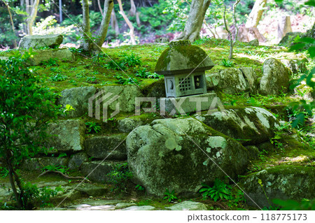 滋賀縣東近江市百西寺町、百西寺(江東三山)、苔蘚花園 滋賀縣東近江市百西寺町、百西寺(江東三山)、苔蘚花園 118775173