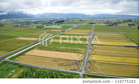 Rice fields where the rice harvest has progressed, Nyuzen Town, Toyama Prefecture Rice fields where the rice harvest has progressed, Nyuzen Town, Toyama Prefecture 118775283