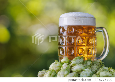beer in mug and hop cones near on green natural background 118775790