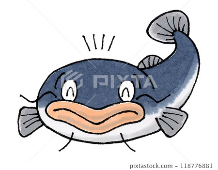 Happy Catfish 118776881