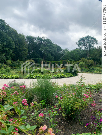 The Rose Garden n Tiergarten park in Berlin, Germany 118777063