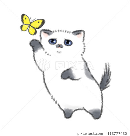 小貓蝴蝶玩耍 118777480