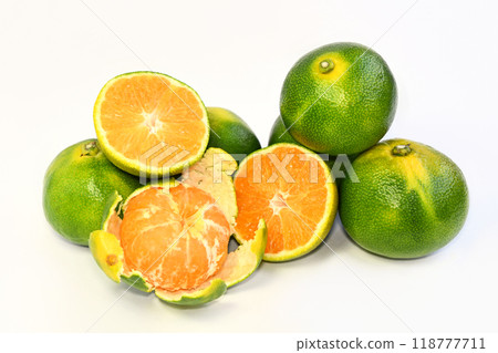 蜜柑（服部早瀨 飾） 118777711