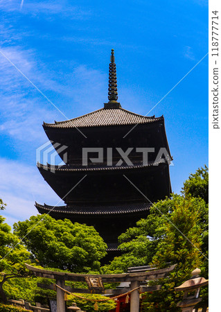 [Kyoto scenery] The five-story pagoda of Toji Temple seen through a fisheye lens 118777714