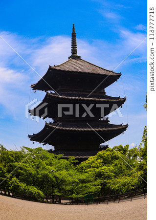 【京都風景】魚眼看東寺五層塔 118777718