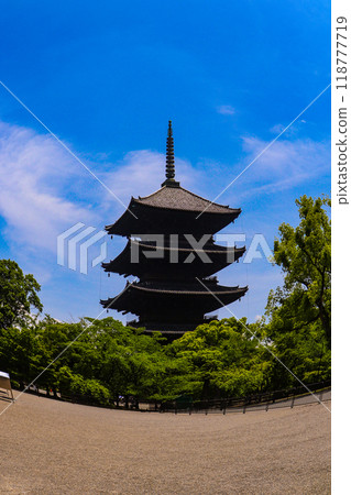 [Kyoto scenery] The five-story pagoda of Toji Temple seen through a fisheye lens 118777719