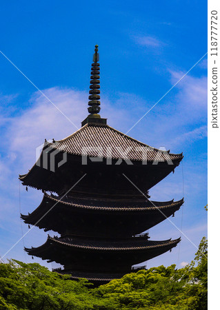 【京都風景】魚眼看東寺五層塔 118777720