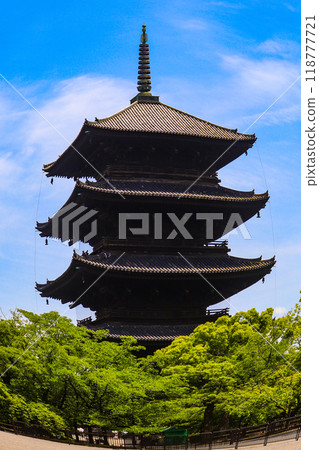 [Kyoto scenery] The five-story pagoda of Toji Temple seen through a fisheye lens 118777721