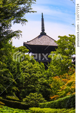 [Kyoto scenery] The five-story pagoda of Toji Temple seen through a fisheye lens 118777724