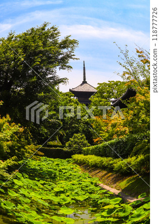 [Kyoto scenery] The five-story pagoda of Toji Temple seen through a fisheye lens 118777726