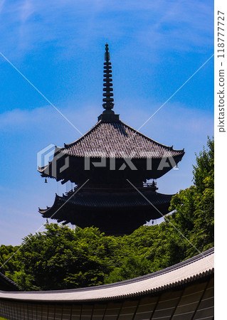 【京都風景】魚眼看東寺五層塔 【京都風景】魚眼看東寺五層塔 118777727