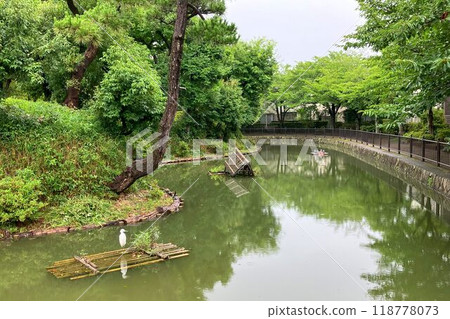 兵庫縣指定文化遺產、後岩塚古墳、稻野古墳群的代表鑰匙孔形古墳 兵庫縣指定文化遺產、後岩塚古墳、稻野古墳群的代表鑰匙孔形古墳 118778073