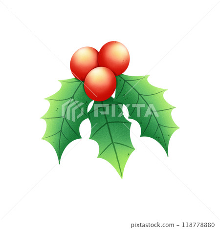 Christmas Holly Berry illustration watercolor by hand drawn. Christmas Holly Berry illustration watercolor by hand drawn. 118778880