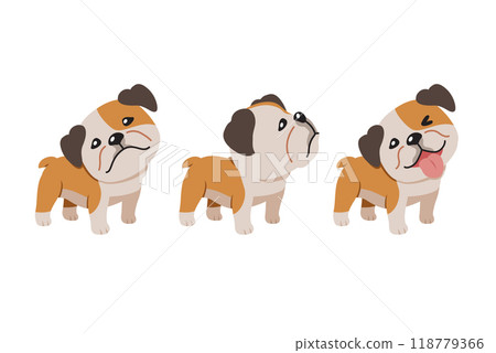 Set of vector cartoon character cute bulldog Set of vector cartoon character cute bulldog 118779366