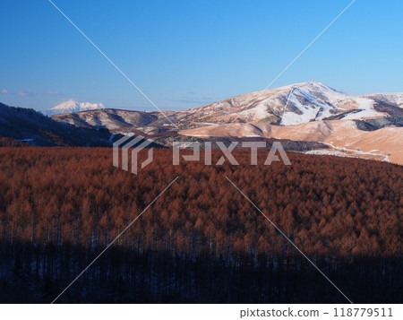 冬季霧峰/車山與落葉松林 118779511