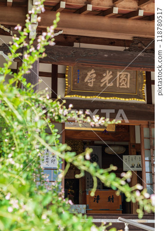 圓光禪寺、三葉草盛開（愛知縣稻澤市） 118780517