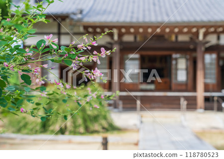 Enko Zenji Temple, bush clover in full bloom (Inazawa City, Aichi Prefecture) 118780523