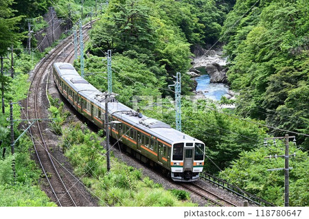 Joetsu Line train passing through the scenic Suwa Gorge 118780647