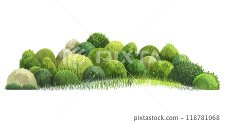 green bushes, capturing their unique shapes and textures on a white background. 118781068