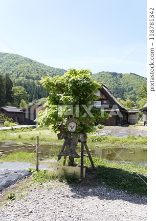 The beautiful greenery of the mountains of Shirakawa-go and a scarecrow in front of a Gassho-style house The beautiful greenery of the mountains of Shirakawa-go and a scarecrow in front of a Gassho-style house 118781342