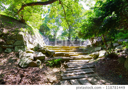 佐賀縣肥前名古屋城主圍 118781449