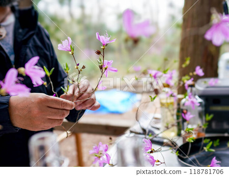 Man arranging flowers outdoors Man arranging flowers outdoors 118781706