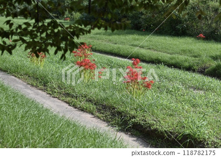 山腳下的小路 山腳下的小路 118782175