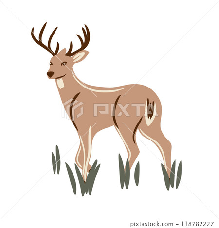 Hand drawn illustration of wild forest deer in grass. Wood woodland animal standing in nature, elegant simple minimalist print, graphic reindeer fauna, fall autumn element in natural ochre color on Hand drawn illustration of wild forest deer in grass. Wood woodland animal standing in nature, elegant simple minimalist print, graphic reindeer fauna, fall autumn element in natural ochre color on 118782227