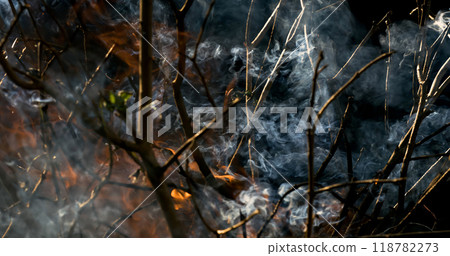 Forest fire in close-up. The branches of shrubs and trees are burning and smoking. Wildfires caused by arson or nature. Forest fire in close-up. The branches of shrubs and trees are burning and smoking. Wildfires caused by arson or nature. 118782273