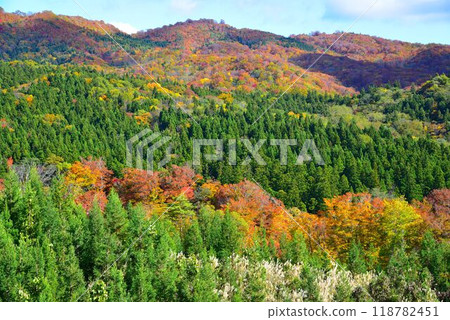 The best view in the world: Autumn leaves in Naruko, Fukiage Plateau The best view in the world: Autumn leaves in Naruko, Fukiage Plateau 118782451