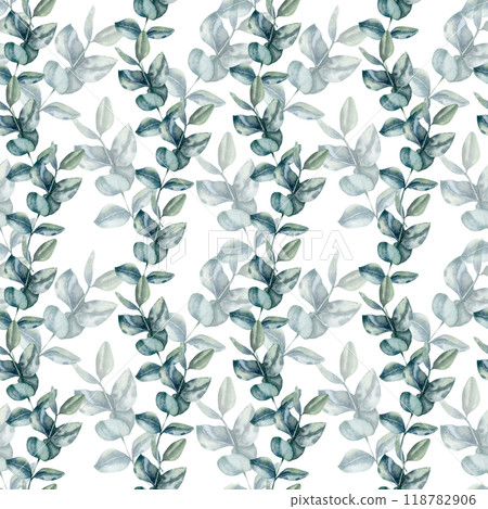 Eucalyptus branches with leaves seamless pattern. Hand drawn floral background, romantic botanical elements for wedding textile, fabric design. Women day card and poster decor 118782906