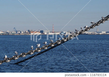 The view from Yamashitaen Garden overlooking the harbor 118783114