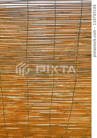 Abandonment 118783188