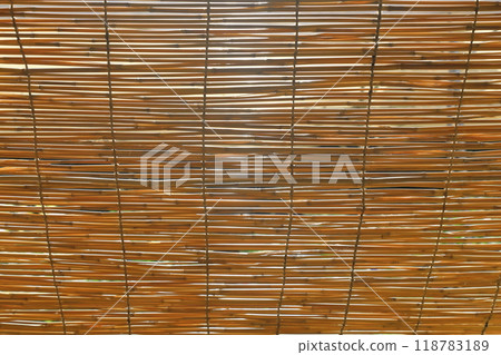 Abandonment Abandonment 118783189