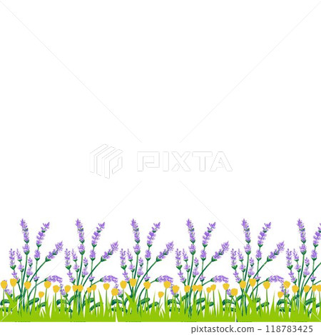 frame of flowers seamless pattern with birds and flowers 118783425